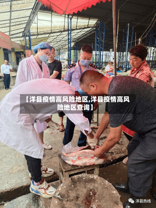 【洋县疫情高风险地区,洋县疫情高风险地区查询】