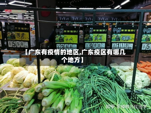 【广东有疫情的地区,广东疫区有哪几个地方】-第2张图片