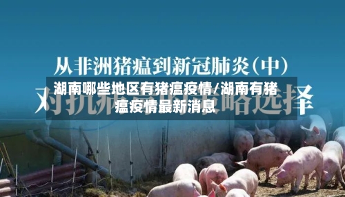 湖南哪些地区有猪瘟疫情/湖南有猪瘟疫情最新消息-第3张图片