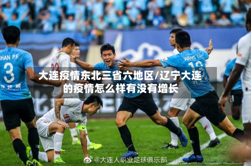 大连疫情东北三省六地区/辽宁大连的疫情怎么样有没有增长