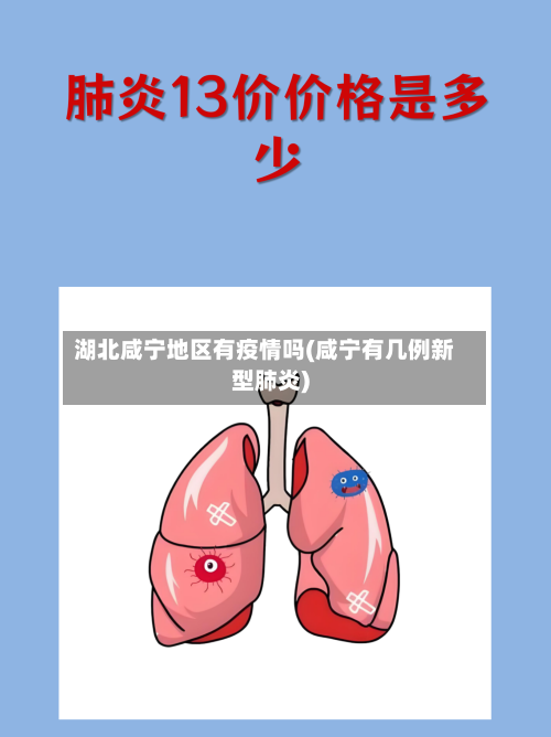 湖北咸宁地区有疫情吗(咸宁有几例新型肺炎)