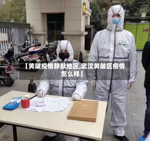 【黄陂疫情静默地区,武汉黄陂区疫情怎么样】
