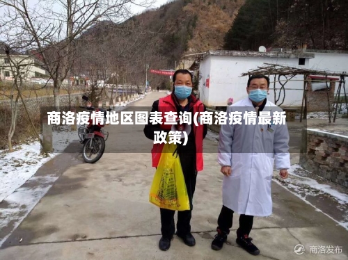 商洛疫情地区图表查询(商洛疫情最新政策)-第2张图片