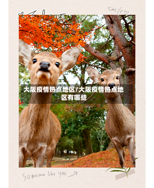 大阪疫情热点地区/大阪疫情热点地区有哪些
