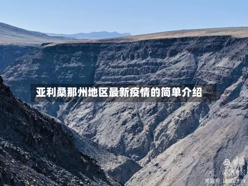 亚利桑那州地区最新疫情的简单介绍-第2张图片