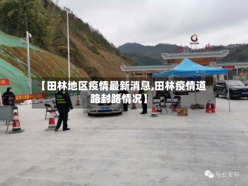 【田林地区疫情最新消息,田林疫情道路封路情况】-第2张图片