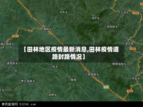 【田林地区疫情最新消息,田林疫情道路封路情况】-第3张图片