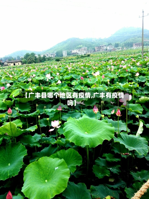 【广丰县哪个地区有疫情,广丰有疫情吗】