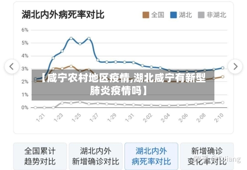 【咸宁农村地区疫情,湖北咸宁有新型肺炎疫情吗】-第3张图片