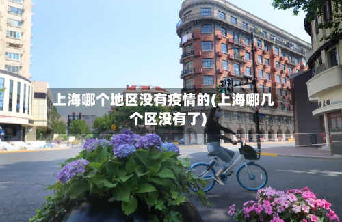 上海哪个地区没有疫情的(上海哪几个区没有了)