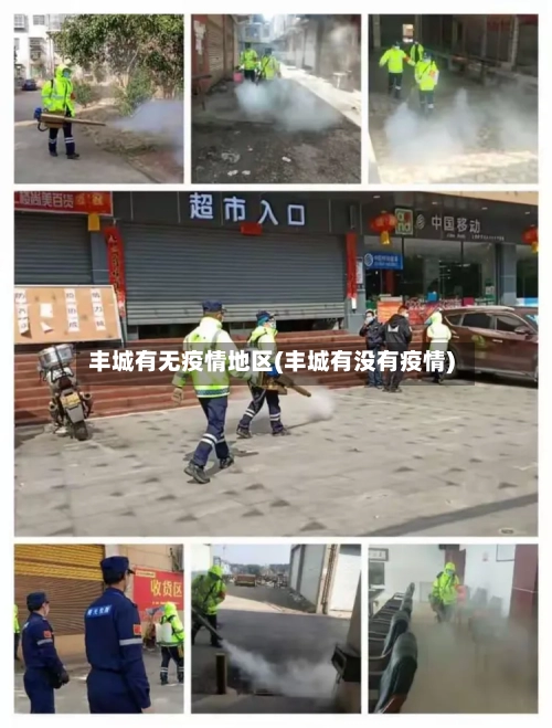 丰城有无疫情地区(丰城有没有疫情)-第2张图片