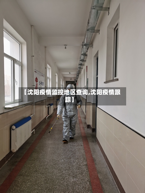 【沈阳疫情监控地区查询,沈阳疫情跟踪】-第3张图片