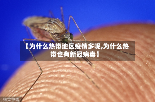 【为什么热带地区疫情多呢,为什么热带也有新冠病毒】