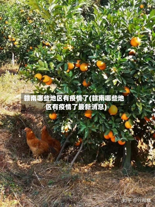 赣南哪些地区有疫情了(赣南哪些地区有疫情了最新消息)