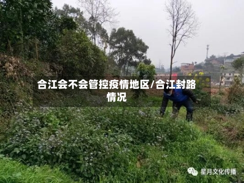 合江会不会管控疫情地区/合江封路情况