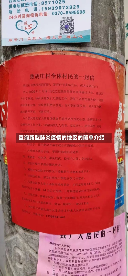 查询新型肺炎疫情的地区的简单介绍