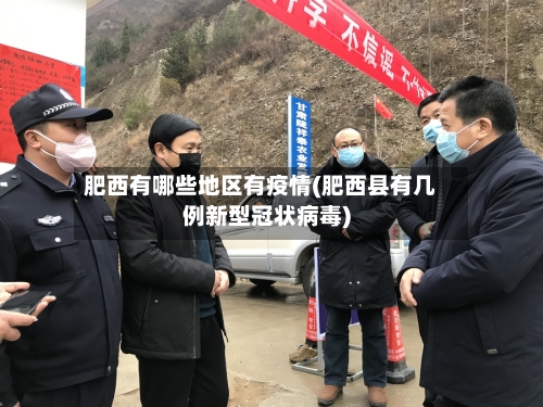 肥西有哪些地区有疫情(肥西县有几例新型冠状病毒)