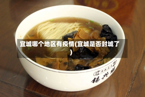 宜城哪个地区有疫情(宜城是否封城了)