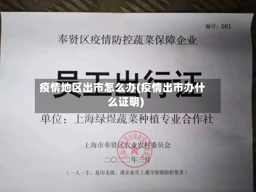 疫情地区出市怎么办(疫情出市办什么证明)