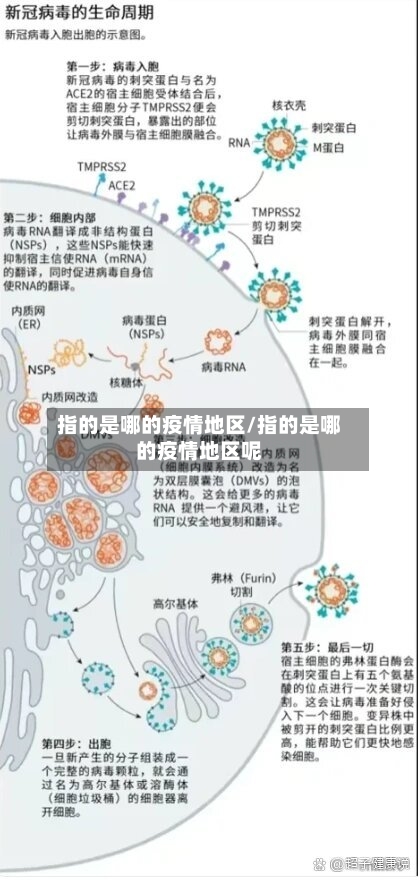 指的是哪的疫情地区/指的是哪的疫情地区呢