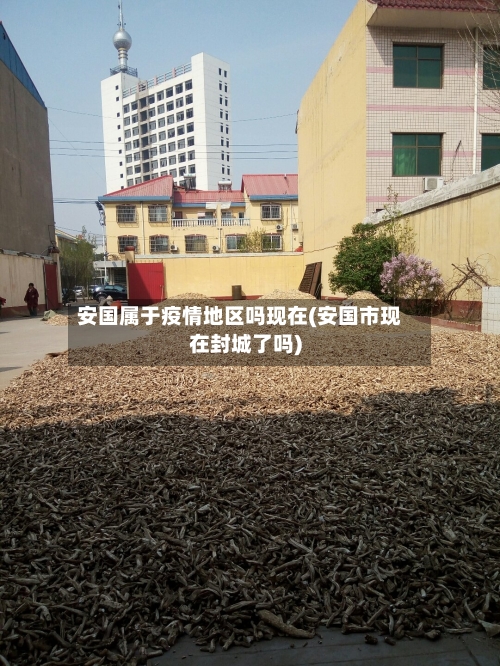 安国属于疫情地区吗现在(安国市现在封城了吗)-第2张图片