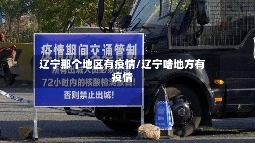 辽宁那个地区有疫情/辽宁啥地方有疫情-第2张图片