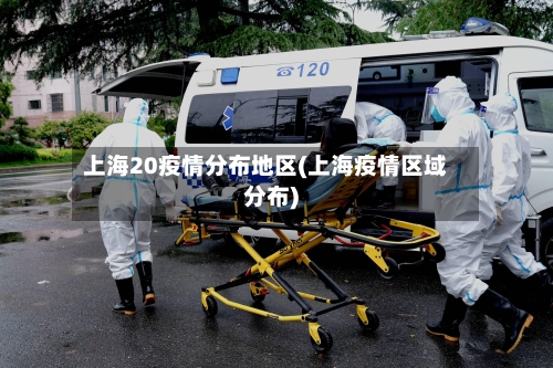 上海20疫情分布地区(上海疫情区域分布)-第2张图片