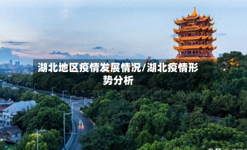 湖北地区疫情发展情况/湖北疫情形势分析-第2张图片