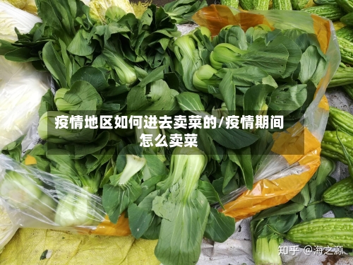 疫情地区如何进去卖菜的/疫情期间怎么卖菜-第3张图片