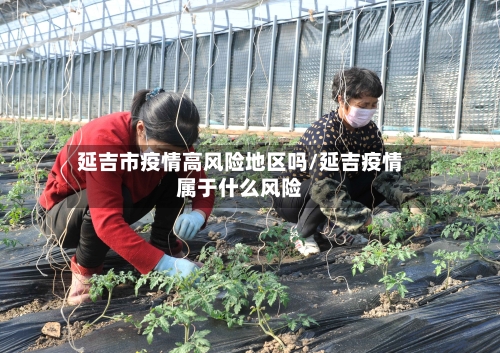 延吉市疫情高风险地区吗/延吉疫情属于什么风险-第3张图片