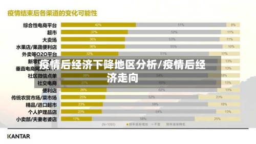 疫情后经济下降地区分析/疫情后经济走向