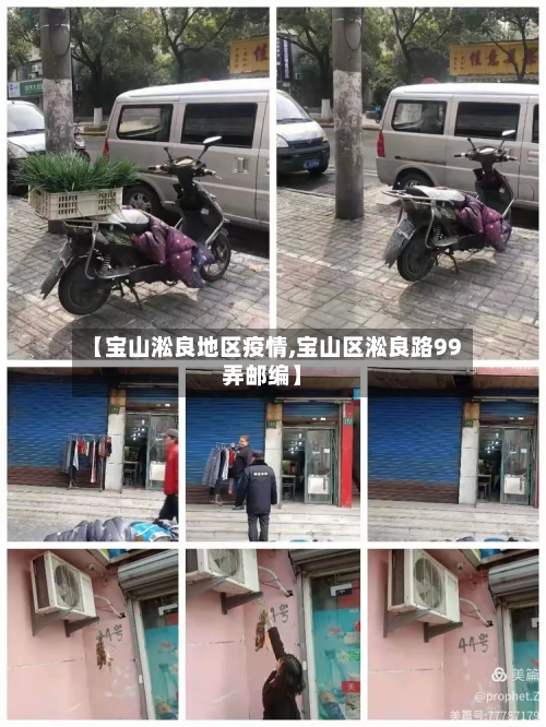 【宝山淞良地区疫情,宝山区淞良路99弄邮编】-第2张图片