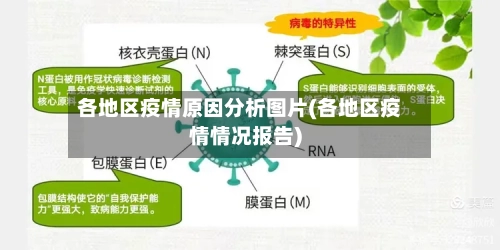 各地区疫情原因分析图片(各地区疫情情况报告)-第2张图片