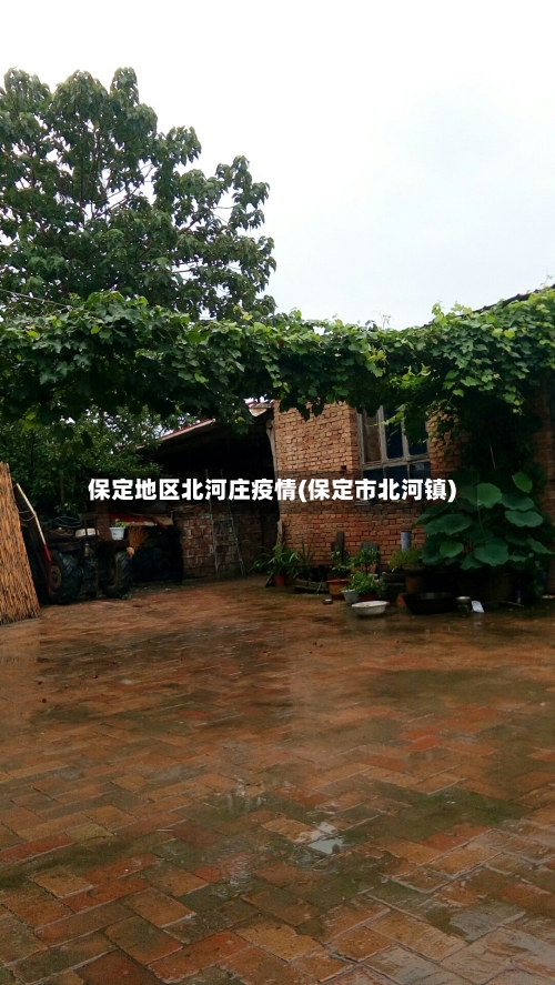 保定地区北河庄疫情(保定市北河镇)
