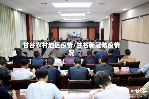 甘谷农村地区疫情/甘谷新冠防疫情况-第2张图片