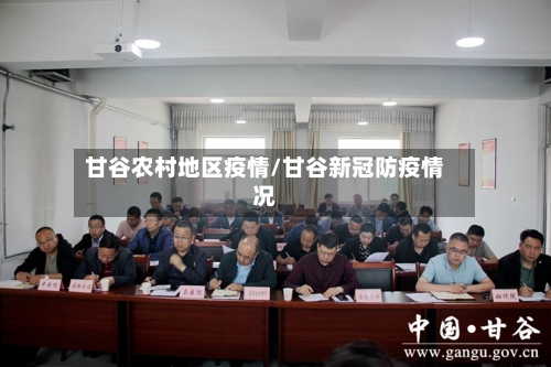甘谷农村地区疫情/甘谷新冠防疫情况